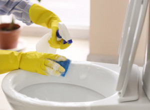 Savet iskusnih domaćica ZLATA vredan: Evo kako su nekada čistile WC šolju, sipajte OVO i pustite vodu