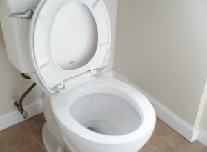 Sipajte ovaj proizvod iz kuhinje u WC šolju: Rešićete se upornog problema sa kojima se mnogi svakodnevno bore