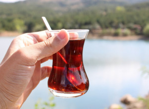 Ruski TRAVAR koji je izlečio HILJADU ljudi: Ovaj čaj leči čir i bolesti creva za samo SEDAM DANA