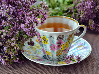 Lekovita dejstva ALPSKE RUŽE: Čaj od ove biljke POMAŽE kod MNOGIH bolesti, pijte ga PRE i POSLE svakog jela