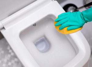 Sredstvo od 50 DINARA je spas za ČIŠĆENJE: Uklonite ŽUTE mrlje sa WC šolje bez muke