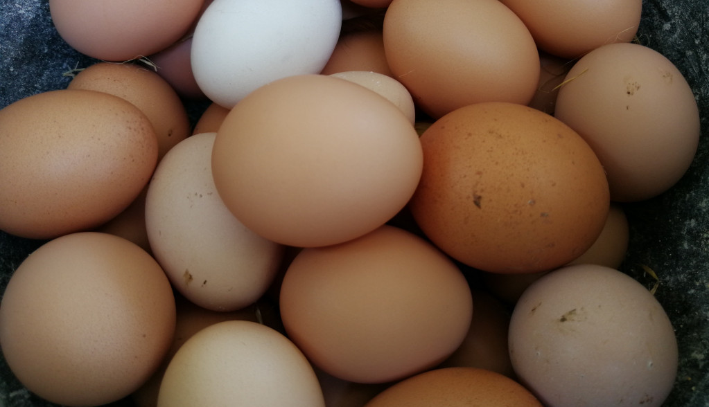 Pažljivo obratite pažnju: Otkrivamo vam kako da po LJUSCI prepoznate staro jaje, ali i zašto da ih držite ŠTO DALJE od drugih proizvoda u frižideru