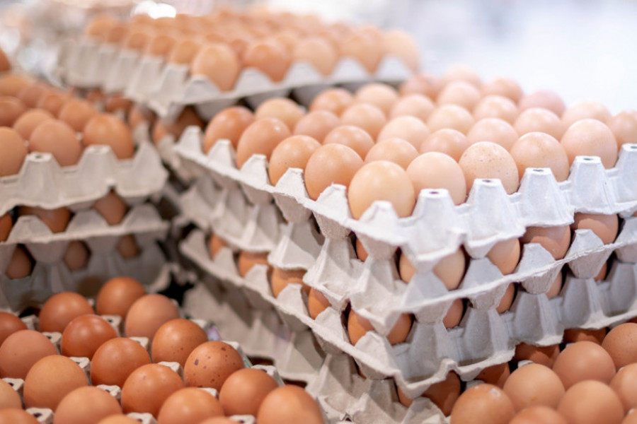 Jaja možete čuvati i do GODINU dana: Tehnika ISKUSNIH čuvara kokošaka je totalni HIT, produžiće im ROK trajanja