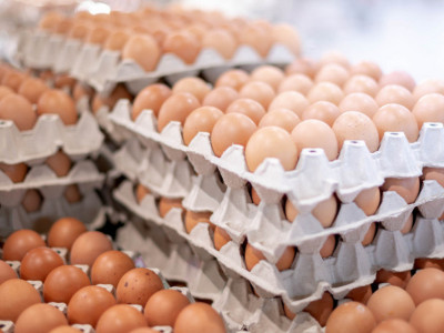 Ako u školjki primetite OVAKVO jaje, nipošto ne kupujte: Stručnjaci objašnjavaju da na taj ničin možete da se OTRUJETE