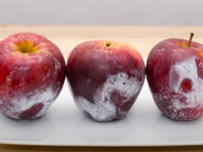 Prava ISTINA o kupovnim jabukama: NIKADA ih ne jedite pre PRANJA, pomoću VRUĆE VODE otkrijte da li su ŠPRICANE otrovima