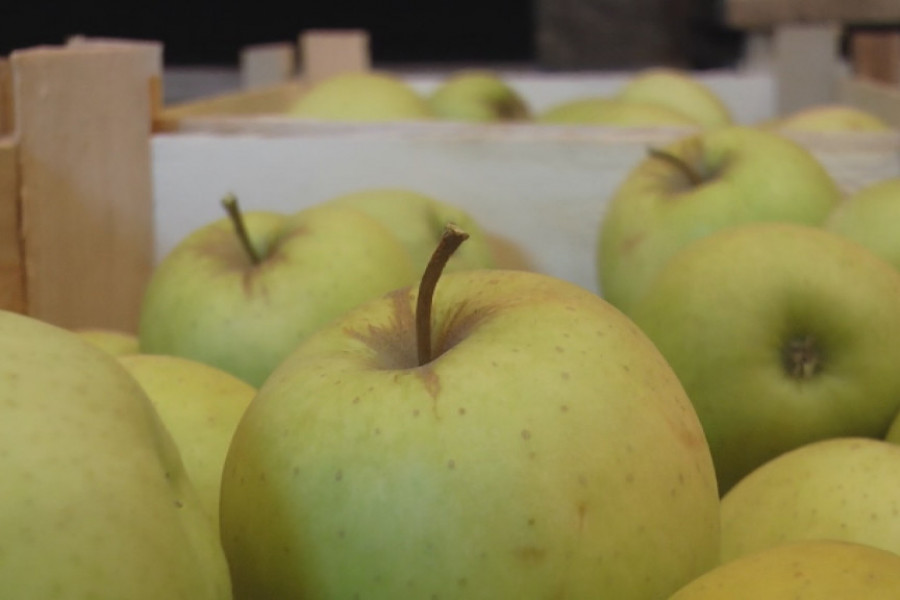 Stari TRIK naših BAKA: Evo zašto se LETI jede jabuka pred SPAVANJE!