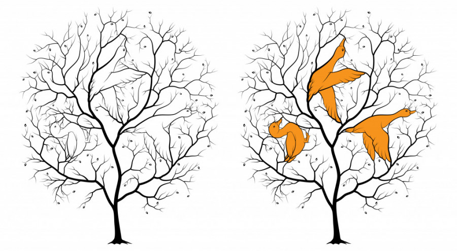 Koliko ptica ima na drvetu? Retko ko može sve da ih pronađe za pola minuta, pokušajte i vi!