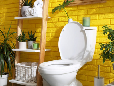 Napravite SAMI mirišljave LOPTICE za WC ŠOLJU: Bez HEMIKALIJA, uz samo TRI jednostavna SASTOJKA