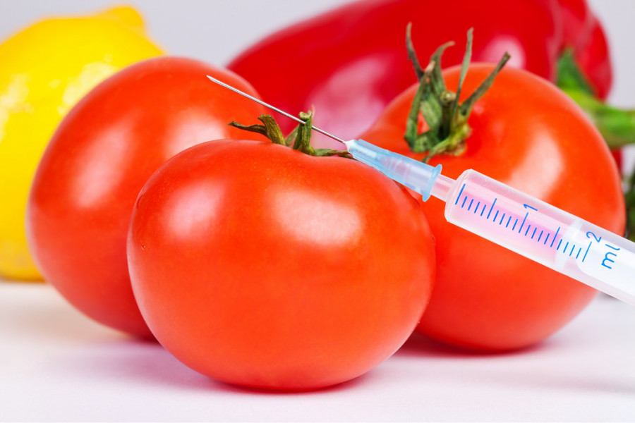 Kako prepoznati zdrav i domaći paradajz da nije GMO? Postoje dva efikasna načina