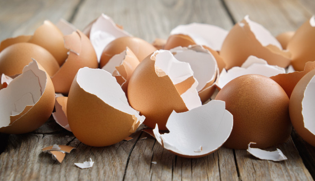 Iskoristite LJUSKE od jaja nakon Uskrsa: Napravite RASTVOR koji biljke vraća u život