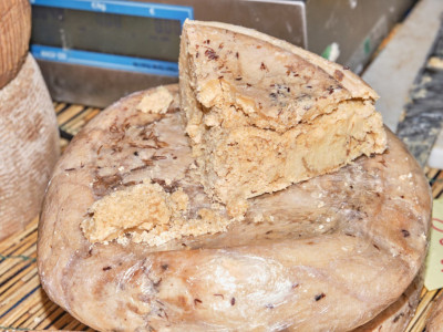 Najopasniji sir na svetu: Služi se sa LARVAMA, njegova proizvodnja i konzumiranje su ilegalni, ali on se i dalje SLUŽI u ovoj ZEMLJI