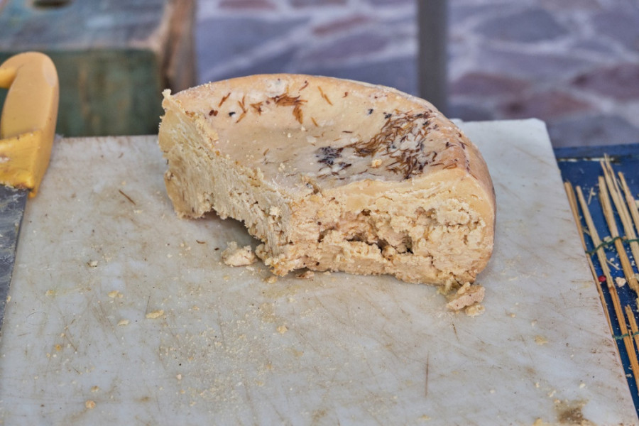 Najopasniji sir na svetu: Služi se sa LARVAMA, njegova proizvodnja i konzumiranje su ilegalni, ali on se i dalje SLUŽI u ovoj ZEMLJI