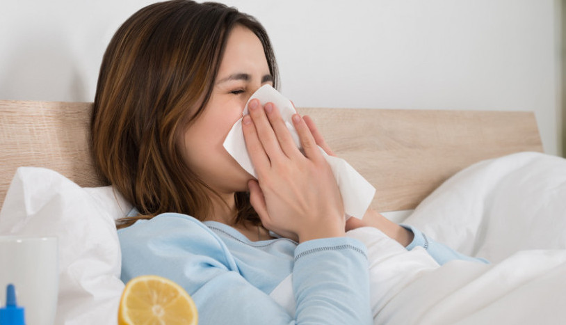 Postoji li opasnost od KAMILJEG gripa? Dr Turubatović objasnila koji su SIMPTOMI i ima li razloga za brigu