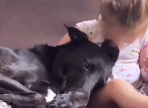 Ovo je NAJSLAĐI video koji ćete danas pogledati: Ljubav i PRIJATELJSTVO između devojčice i psa će vas RASTOPITI!