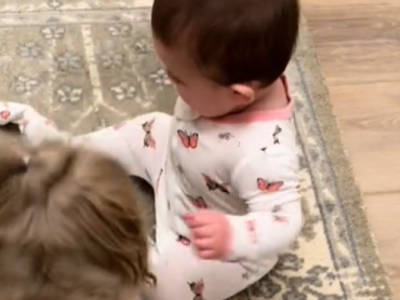 Beba i pas